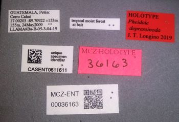 Media type: image;   Entomology 36163 Aspect: labels